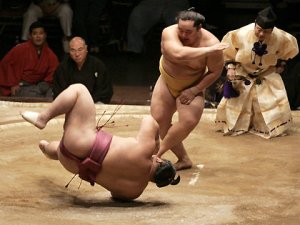 sumo