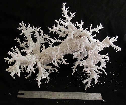 fulgurite 1
