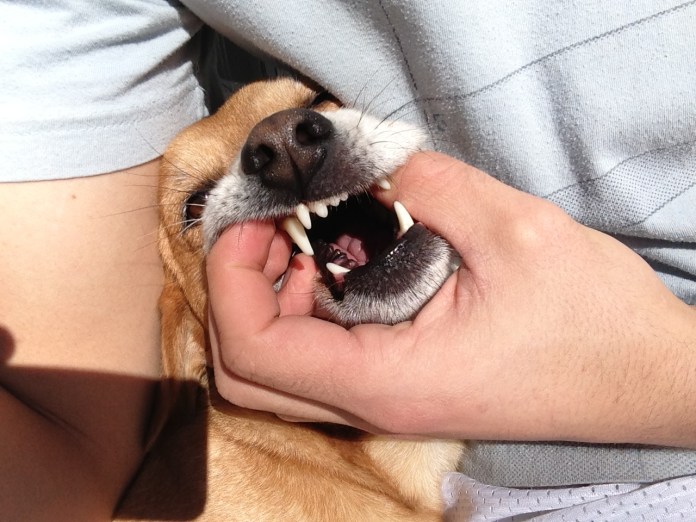 whiter than mine... by a lot