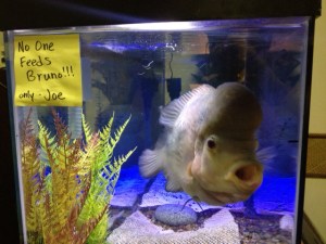 that means you, asshole