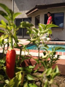 serrano boyfwend is ready to pick